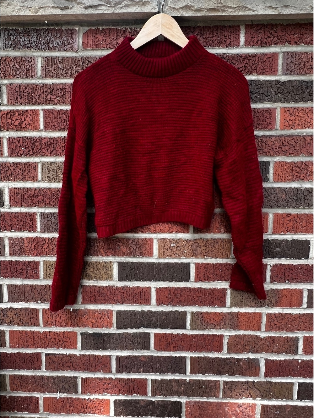 Express Wine Red Chunky Knit High Neck Cropped Sweater